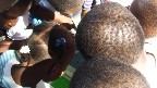 kids at play